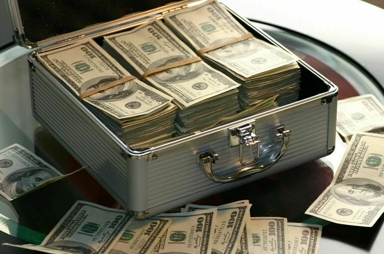  В  аэропорту Домодедово похитили сумки с 4 миллионами долларов