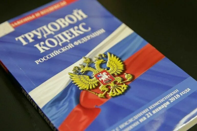 Депутат разъяснила, почему сотрудника могут не допустить к работе
