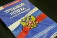 Депутат разъяснила, почему сотрудника могут не допустить к работе