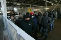 Колокольцев рассказал, сколько в России нелегальных мигрантов