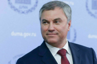 Володин предложил создать в системе Минпросвещения сеть образовательных учреждений