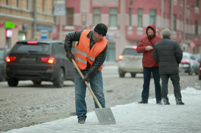 Четыре сантиметра снега выпало за ночь в Москве