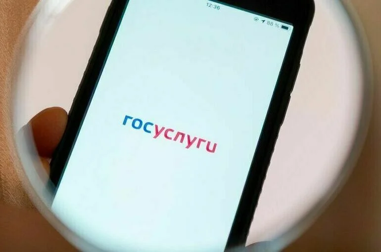 На госуслугах можно будет писать письма чиновникам