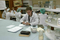 Володин предложил создать условия для поддержки студентов-целевиков из медвузов