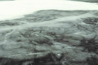 В Москве прохожие спасли двух провалившихся под лед детей