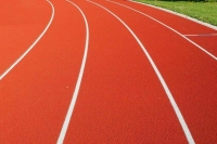 Спортивные федерации в 2023 году получат гранты почти на 1 млрд рублей