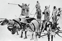 Сенатор предложила изучать в школе подвиги оленной армии в годы войны