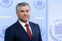 Володин предложил россиянам обсудить запрет для иностранцев услуг суррогатных матерей