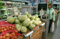 Для новых регионов предложили предусмотреть механизм контроля цен на продукты