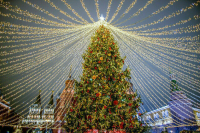 Спрос россиян на живые елки за пять лет упал в два раза