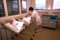 Комитет Госдумы поддержал поправку о праве лишенных гражданства на детей от суррогатных матерей