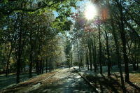 В европейской части России прогнозируются снегопады и потепление к выходным