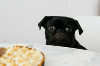 Как справиться с обманчивым зимним голодом