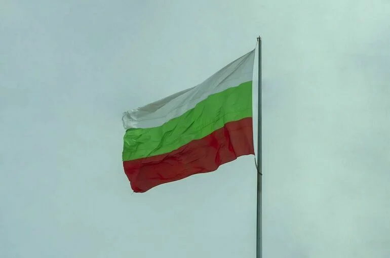 Посол РФ в Болгарии рассказала о блокировке своей машины протестующими