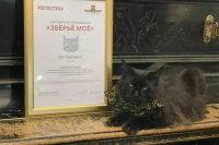 Продукт страхования домашних питомцев «Росгосстраха» признан инновацией года