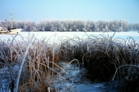 В МЧС рассказали, когда нельзя выходить на лед зимой