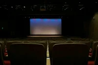 Комитет Совфеда предложил поддержать кинотеатры на фоне падения сборов