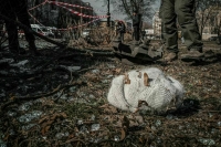 Украинские силовики в Херсонской области расстреляли не менее 20 человек