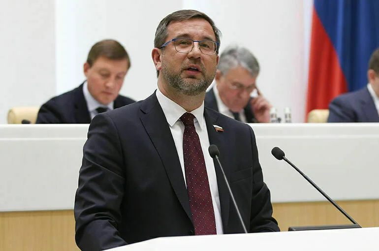 Сенатор Владимиров назвал главные цели цифровизации судебной системы