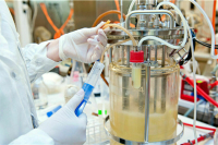 В Госдуму внесли законопроект об отсрочке от частичной мобилизации для ученых со степенями