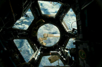 На отправку к МКС корабля-спасателя взамен «Союза МС-22» уйдет месяц