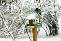 В московских аэропортах отменили или задержали более ста рейсов