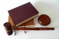 Судопроизводство в отношении участников СВО будут приостанавливать