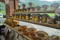 Самозанятых предложили допустить к производству органических товаров