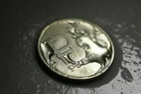 Международные банки с долей участия РФ защитят от санкций