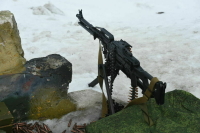 Хинштейн и Пискарев внесли в Госдуму законопроект о правилах оборота оружия в новых регионах