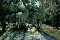 Потепление и снегопады пообещали жителям Москвы и Подмосковья к концу недели