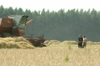 G7 подтвердила, что санкции против России не касаются продовольствия
