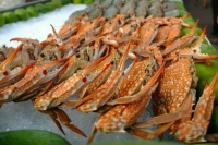 Совфед одобрил закон о втором этапе квот на биоресурсы