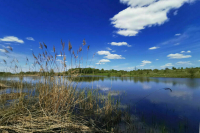 В кабмине предложили уточнить правила установки границ водоохранных зон