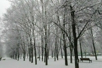 Синоптик предупредил москвичей о метели и гололедице во вторник