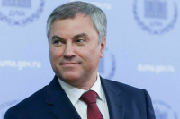 Володин: Российские спасатели действуют профессионально и мужественно