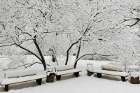 В МЧС предупредили москвичей о снегопаде 30 декабря