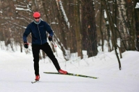В лесах хотят проложить лыжные трассы и велодорожки