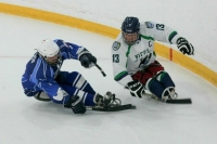 Путин поручил создать ассоциации для участия инвалидов в соревнованиях в рамках ШОС