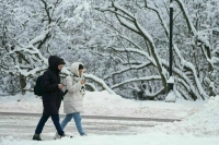 Жителей Москвы и европейской части России предупредили об аномальном похолодании