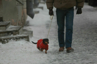С 10 января москвичей ждет потепление