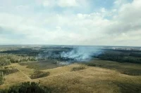 Рослесхоз сможет привлекать федрезерв экстренного реагирования к тушению лесных пожаров