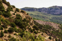 Более 300 тысяч человек посетили заповедники Крыма в 2022 году