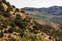 Более 300 тысяч человек посетили заповедники Крыма в 2022 году