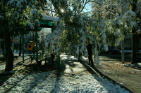 Потепление придет в Тульскую область 14 января 