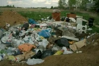 Двойных уверен, что камеры позволят решить проблему незаконных свалок