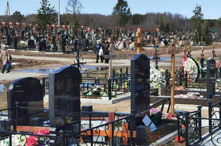 Естественная убыль населения за 11 месяцев 2022 года составила более полумиллиона человек
