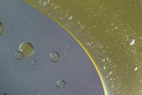 На севере Красноярского края введен режим ЧС из-за разлива нефти