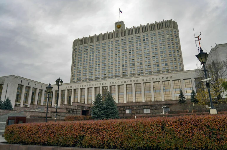 Россельхознадзору хотят дать право дезинфицировать въезжающие в РФ авто
