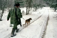 Госуслуги в сфере охоты перейдут в онлайн